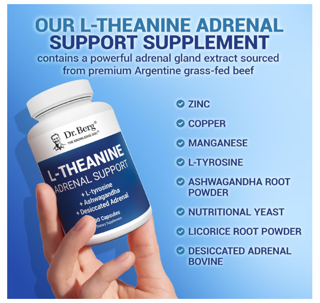 Dr. Berg L-Theanine Adrenal Support with L-tyrosine & Licorice Root - 90 Capsules