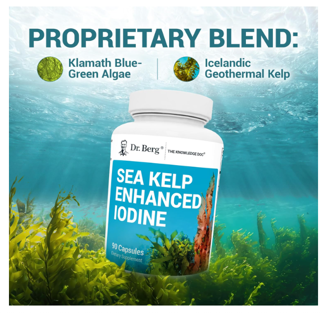 Dr. Berg Sea Kelp Enhanced Iodine - 90 Capsules